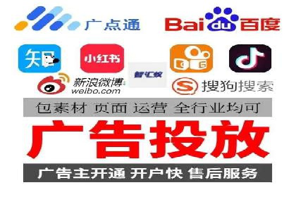 SEM推广实战：成功案例解读与策略调整