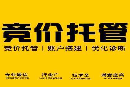 竞价排名与内容营销的结合案例